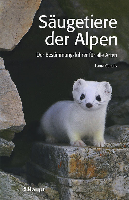 cover_saeugetiere_500.jpg