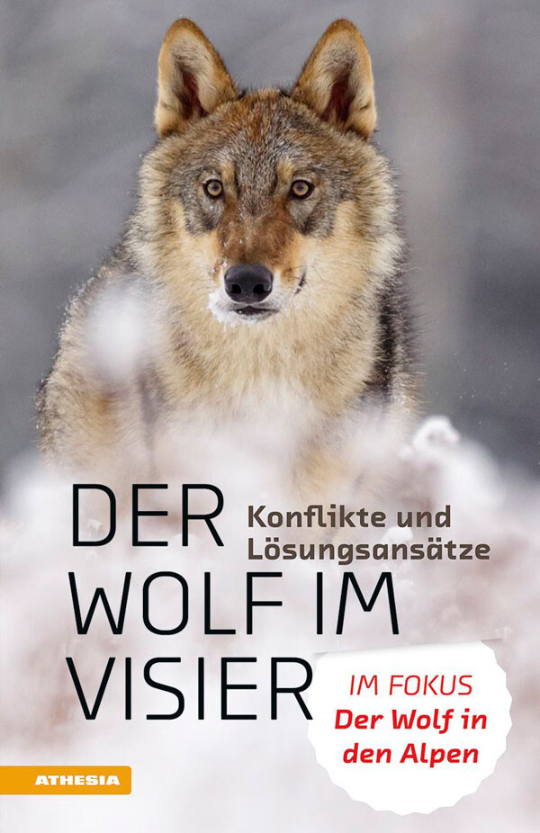 cover_wolf_visier.jpg