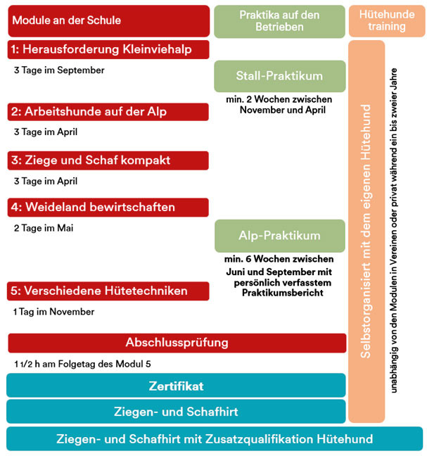 Übersicht Ziegen- und Schafhirtenausbildung
