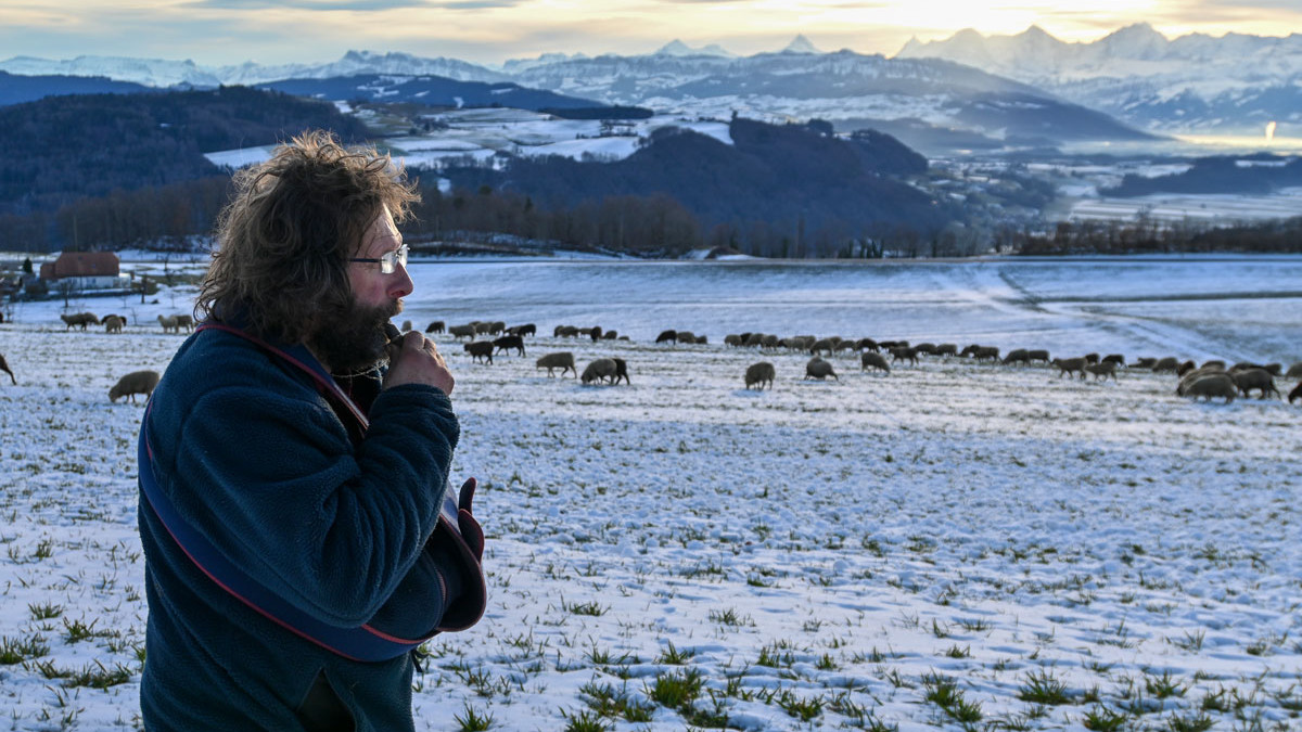 Markus Nyffeler, Schafhirte