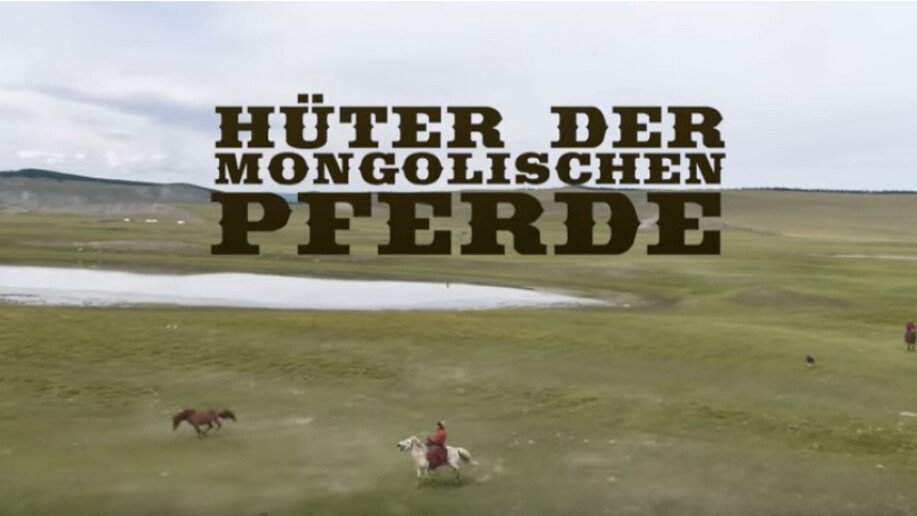 Film: Hüter der mongolischen Pferde