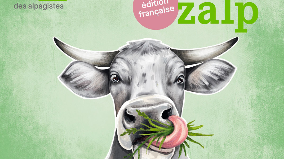zalp 2026 édition française