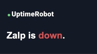 zalp ist down