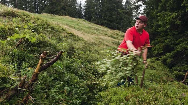 Zivildienst – wichtig für die Alpen